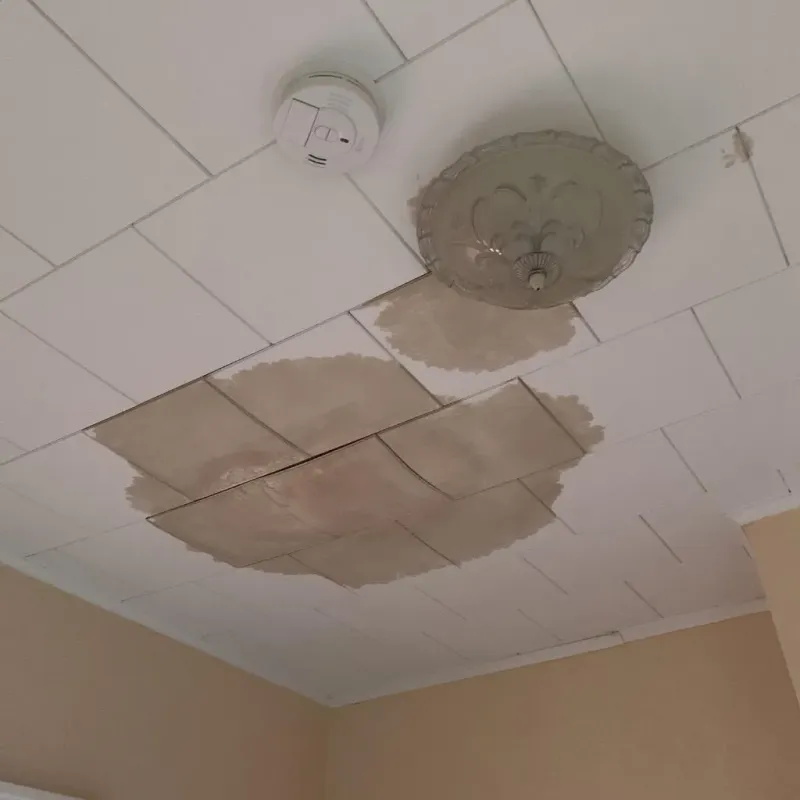 Ceiling Water Damage Repair in Statesboro, GA